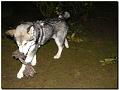 Aleshanee 2-2009 030